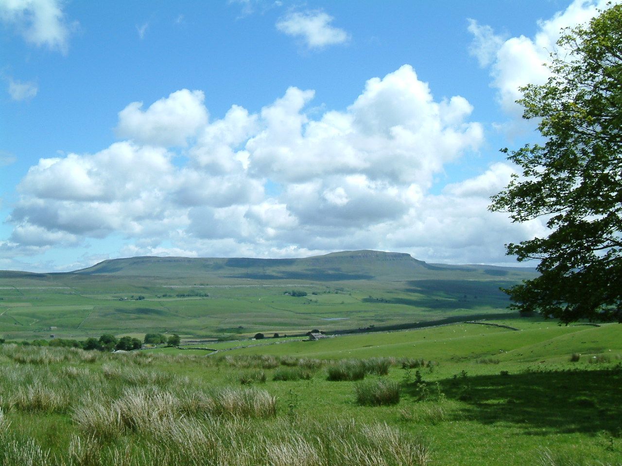 Thumbnail of photo from this article